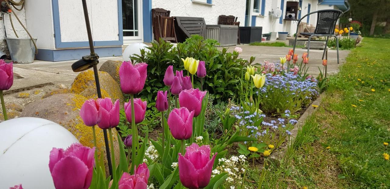 Villa Wiese Katzow エクステリア 写真
